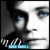 Mark Icon 100x100